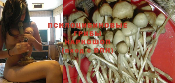 спиды Волосово